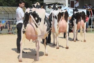 Un programme varié et dense