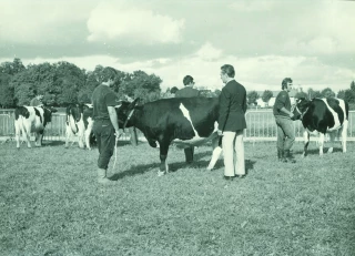 La Prim’holstein à travers le temps