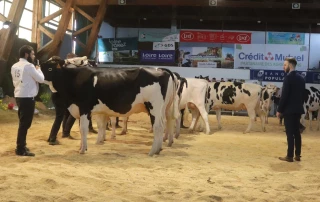 Palmarès du concours inter-régional holstein