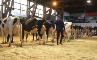 La Loire, terre d’accueil de la race Prim’holstein