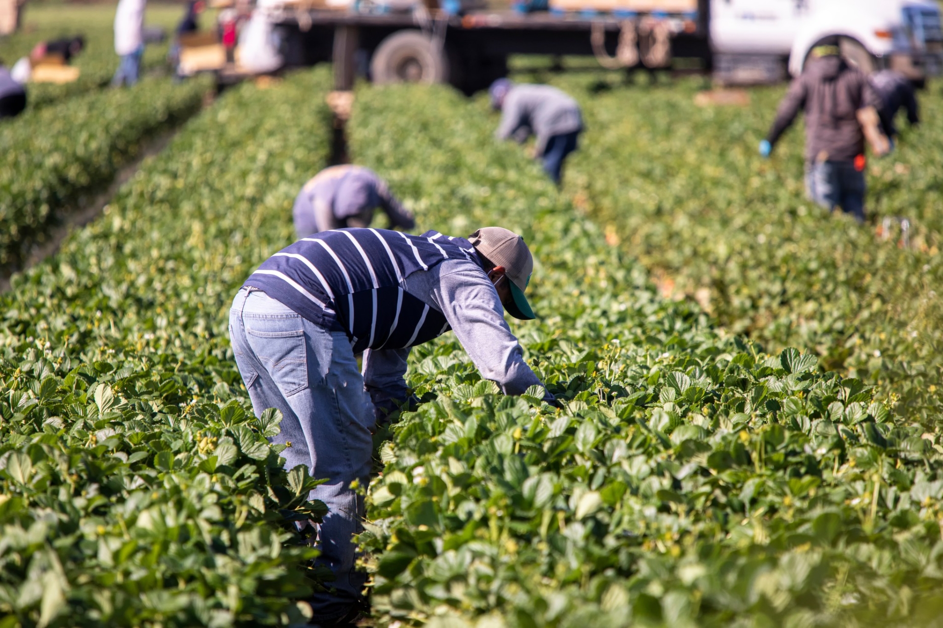 L’emploi agricole augmente en 2022 