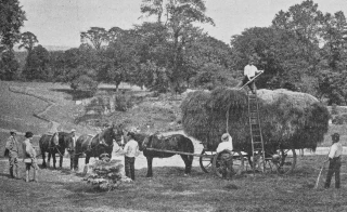 Agriculture de 1924 : manque de blé et de pommes de terre