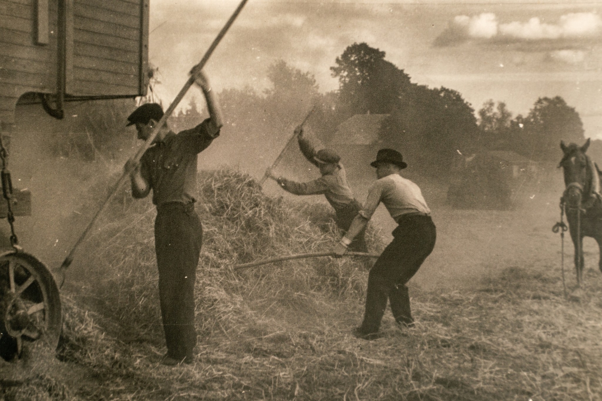 Agriculture de 1924 : le secteur de l’assurance s’organise