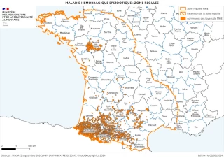 La Loire, point de rencontre des zones régulées MHE et FCO-3