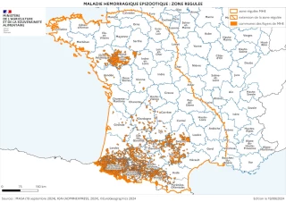 26 nouvelles communes de la Loire en zone régulée