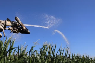 Une « petite année » d’irrigation