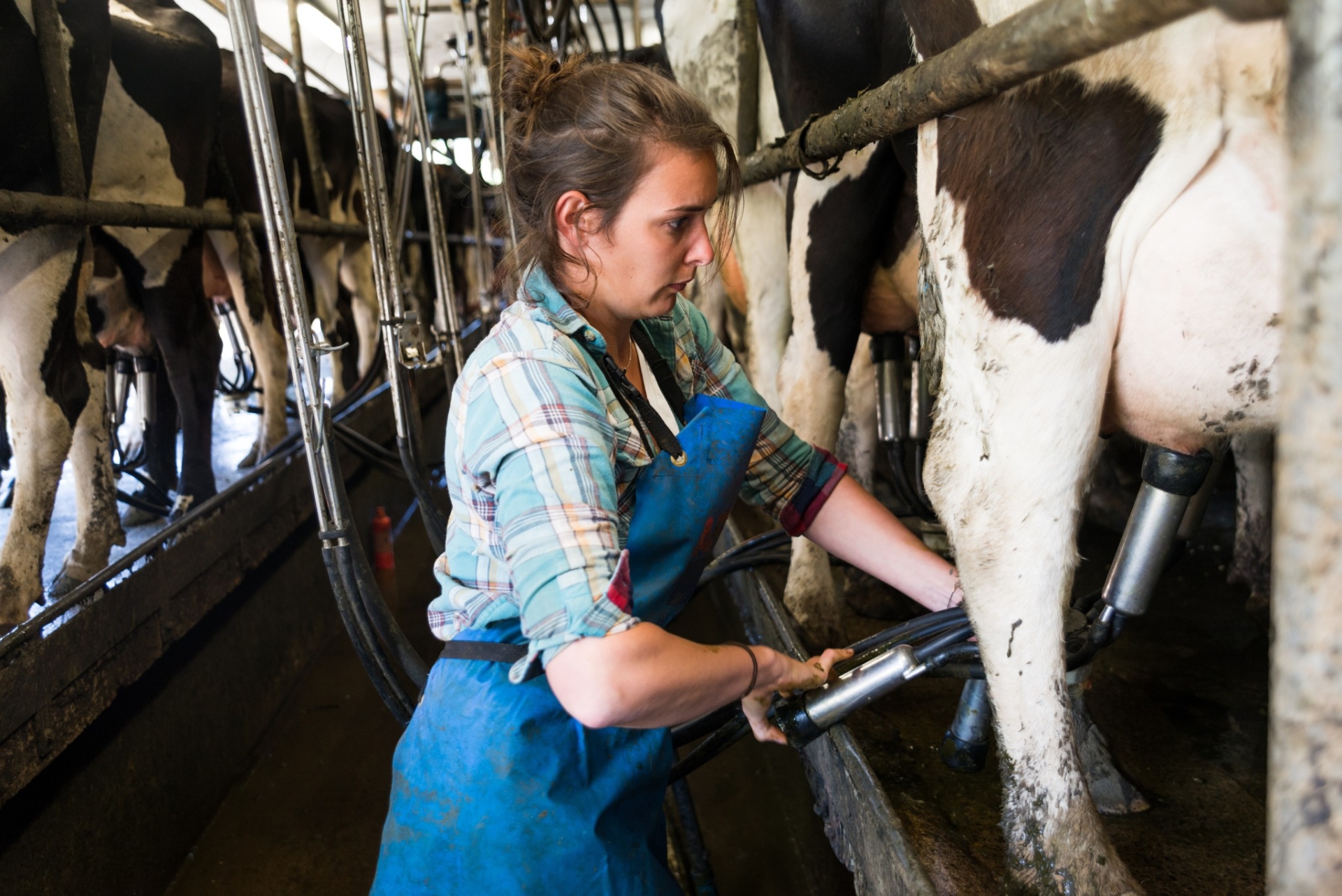 Femmes et agriculture, des avancés sociales à poursuivre 