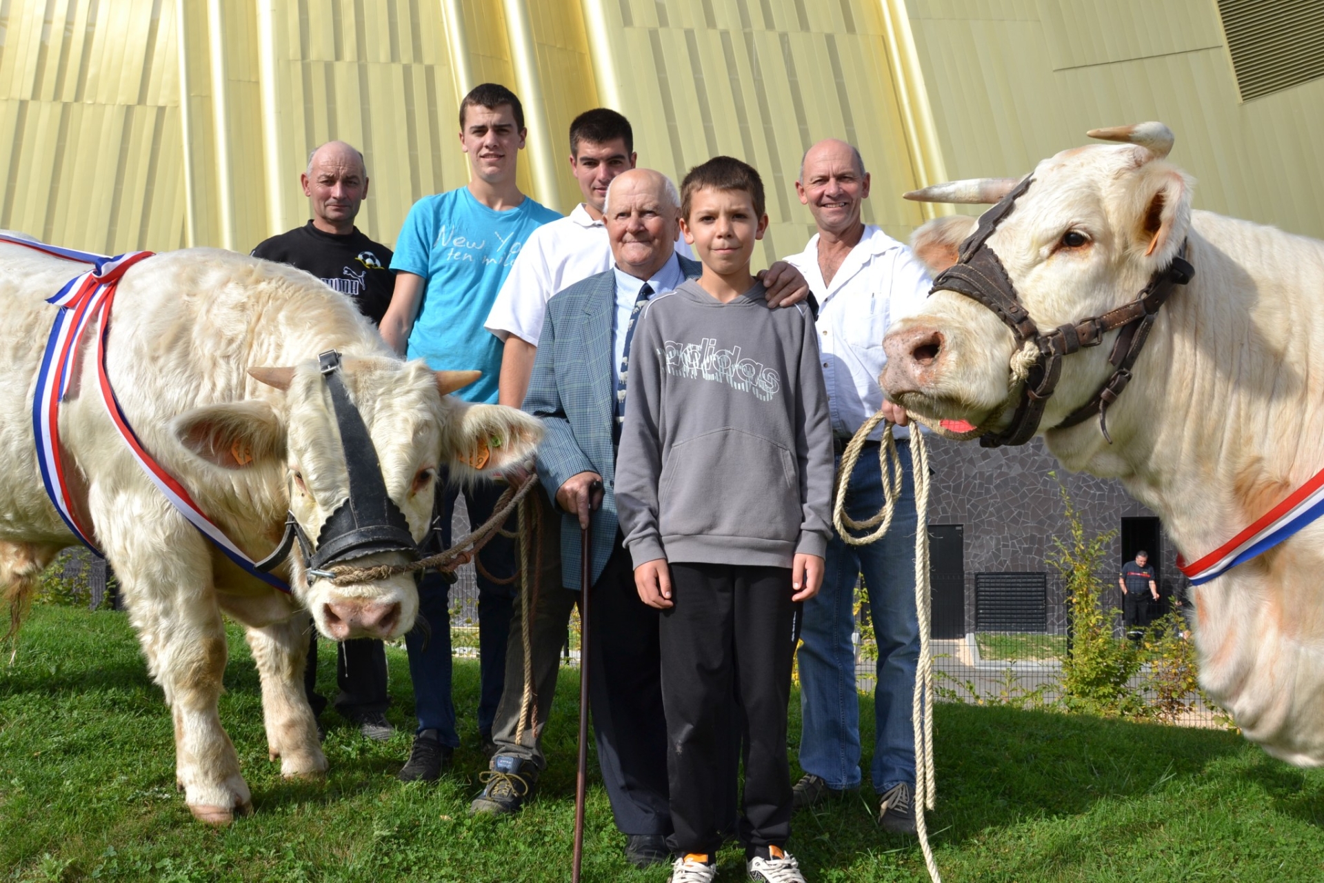 Les Lapendery, le Charolais dans le sang 