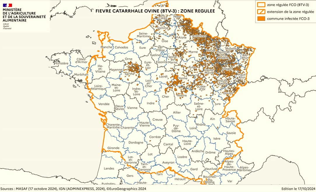 FCO-3 : premier cas dans la Loire