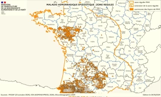 MHE et FCO : où en est-on dans la Loire ?