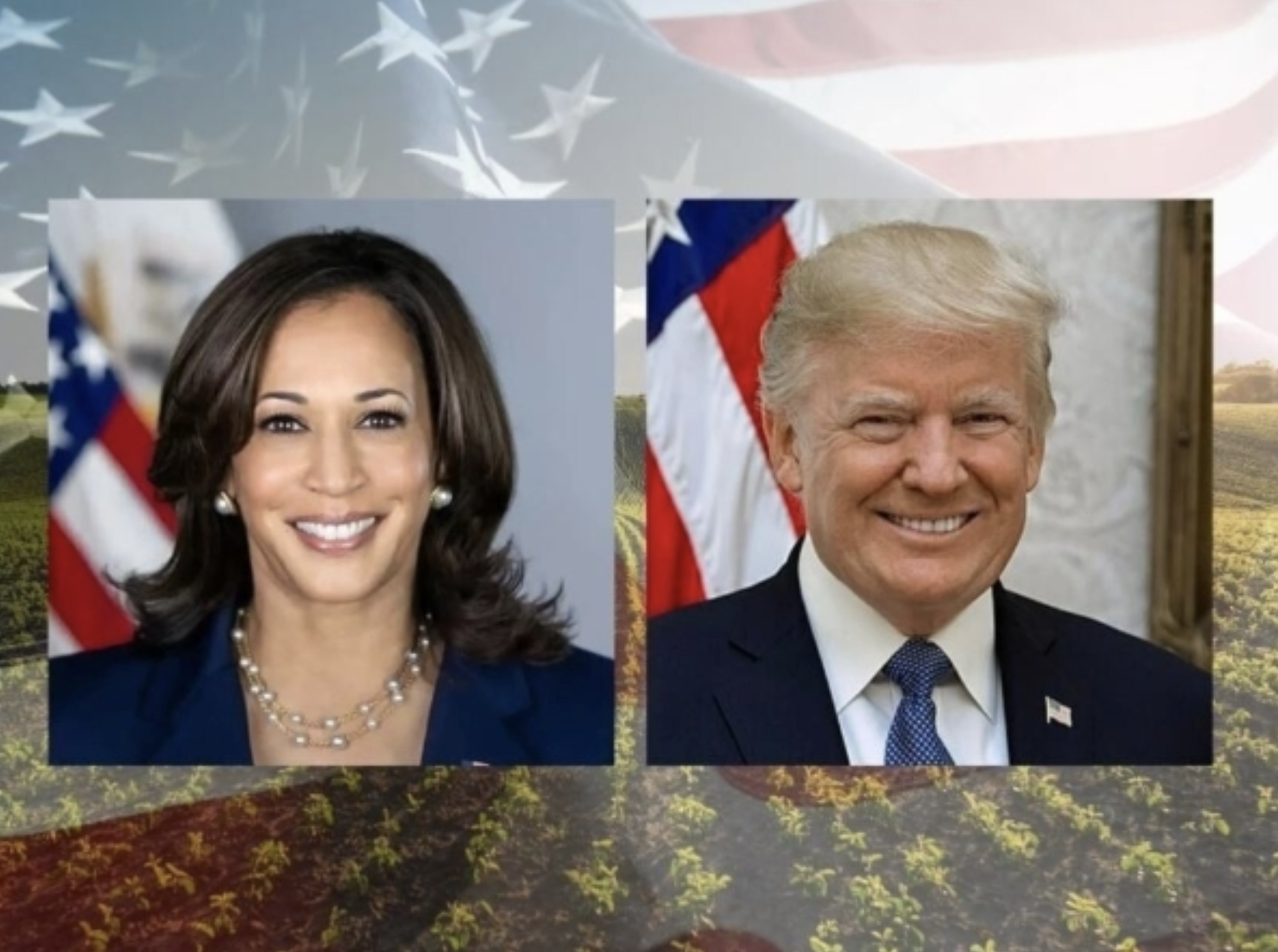 Quelles sont les engagements de Trump et Harris sur l’agriculture ?  