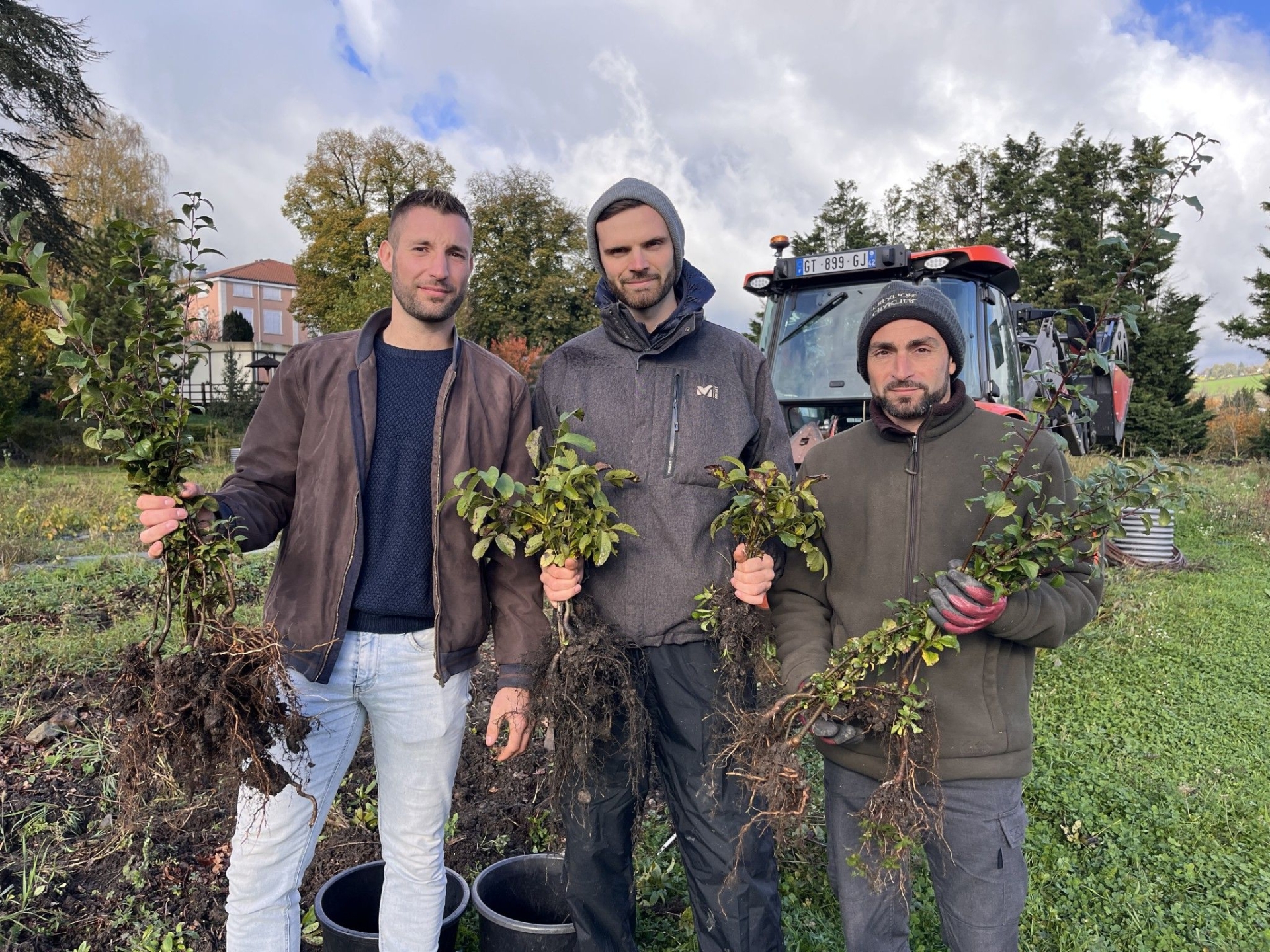 « À la Sainte Catherine, tout bois prend racine ! »