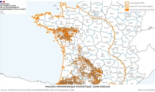 MHE : les règles pour le mouvement des animaux