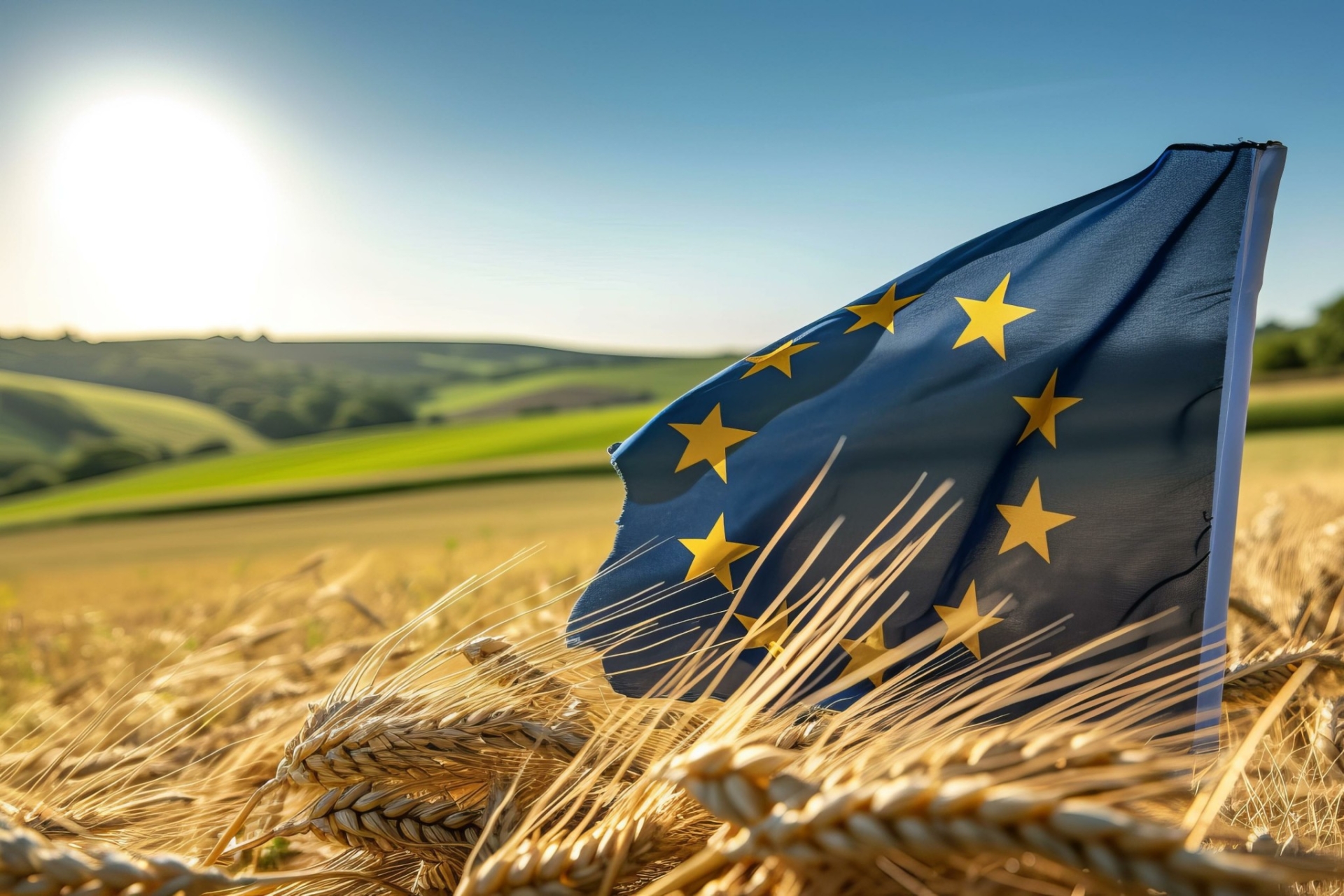 Pour une Europe qui renoue avec une ambition stratégique agricole