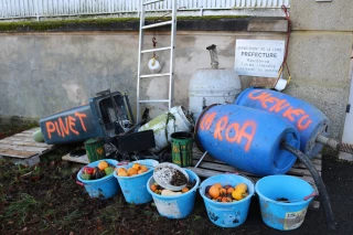 « Non à l’élevage de sangliers » : les agriculteurs stéphanois perdent patience