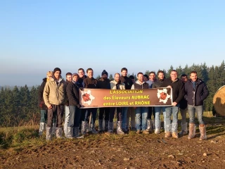 Une année de répit pour l’Aubrac ligérienne avant de nouveaux projets 