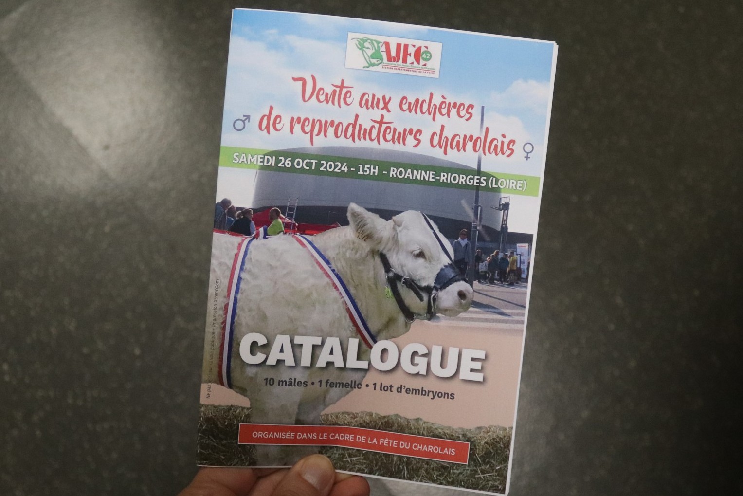 Catalogue de la vente de reproducteurs charolais