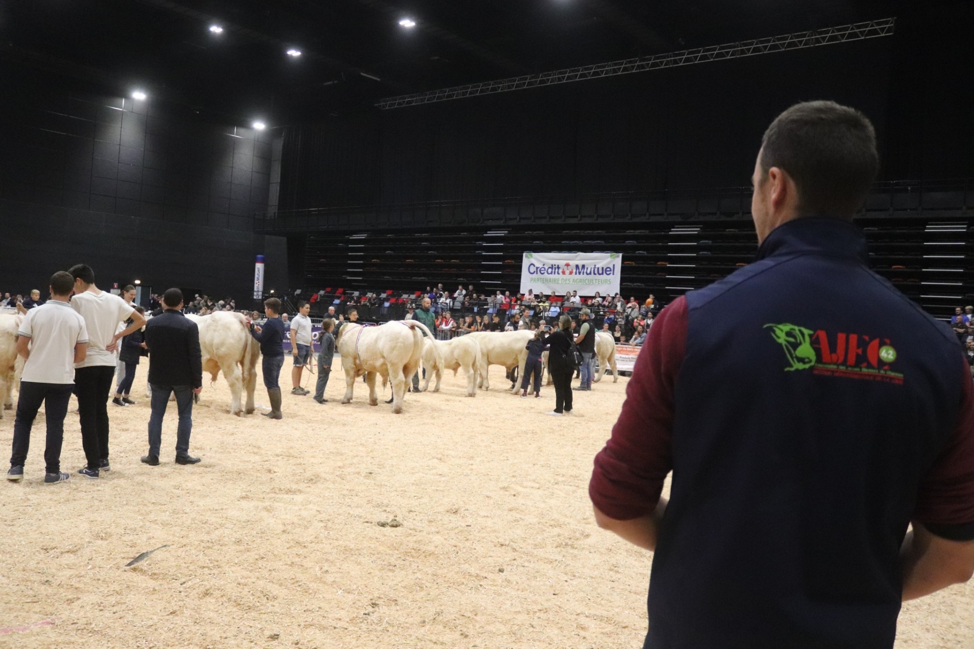 Ajec Loire : pour les jeunes passionnés par le Charolais