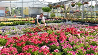 La Chambre professionnelle horticole de la Loire entre défis et opportunités