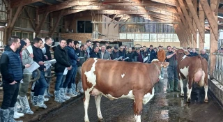 Dynamisme et excellence, les éleveurs montbéliards à l’honneur dans la Loire