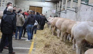 Gagnez vos entrées pour le comice de Feurs