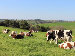 Les producteurs de lait claquent la porte de l'interprofession