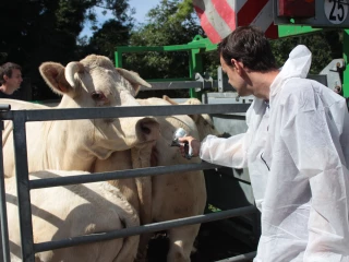 La vaccination obligatoire et gratuite s’organise collectivement