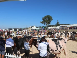 Fête du Lait 2025 : une équipe mobilisée pour valoriser l’agriculture d’un territoire