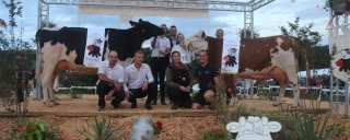 Découvrez les palmarès de la Fête du lait 2025