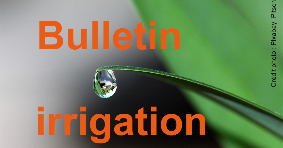 Technical irrigation bulletin on July 29 – Paysans de la Loire, agricultural and rural information media